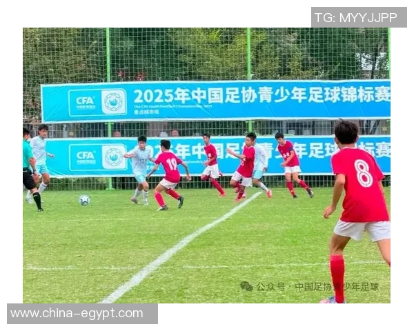 深圳足球队在足球比赛经验排行榜中荣获第四名的辉煌成就分析 深圳足球队在足球比赛经验排行榜中荣获第四名的辉煌成就分析