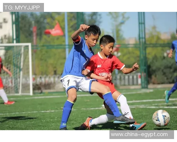 足球明星张贤秀的传奇人生与赛场辉煌成就全解析