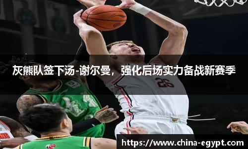灰熊队签下汤-谢尔曼，强化后场实力备战新赛季