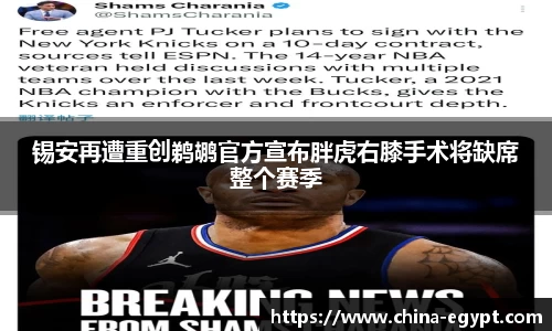 BSports网页版