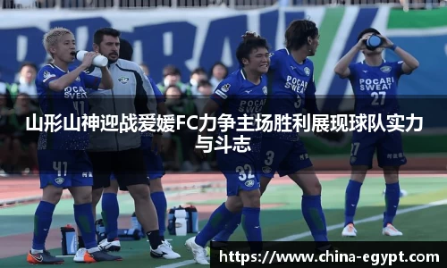 BSports网页版
